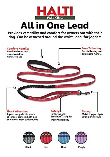 The Company of Animals - HaltB007LS6QRKi All-In-One Lead (6' 6'), Large, Red (HA034)