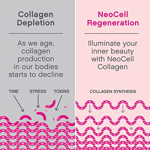 NeoCell Super Collagen Powder, Collagen Plus includes Vitamin C and Hyaluronic Acid, Promotes Healthy Hair, Beautiful Skin, and Nail Support, Collagen Type 1 and 3, 12g Collagen Peptdes per Serving, 6.9 Oz