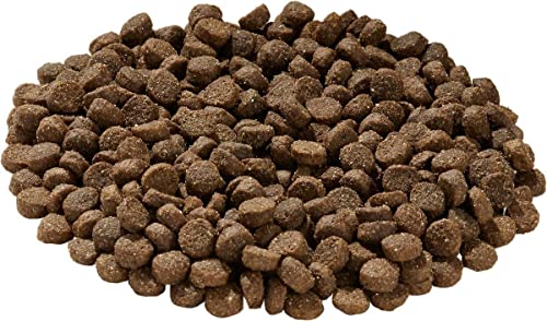 Health Extension Dry Dog Food, Natural Food for All Puppies and Dogs with Added Vitamins and Mineral, Lamb and Brown Rice Recipe (4 Lb / 1.8 Kg)