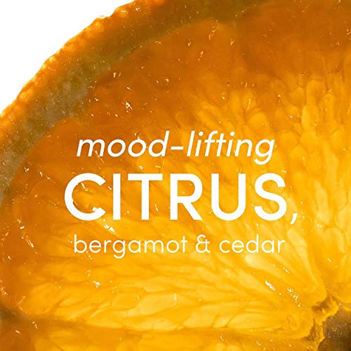 YUNI Beauty Essential Oil Fragrance Roll On (0.33 oz) Carry Om Stress-Relieving Aromatherapy Rollerball - Calming and Soothing Natural Perfume Alternative - All Natural, Paraben-Free, Cruelty-Free