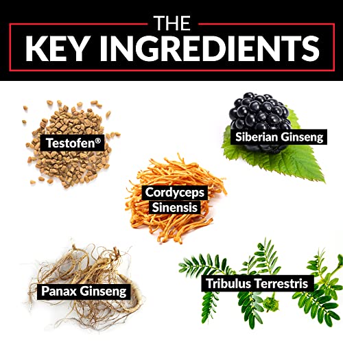 Force Factor Test X180, 3-Pack, Testosterone Booster Supplement for Men with Fenugreek Seed Tribulus and Mens Vitamins to Build Lean Muscle, Enhance Male Athletic Performance, Cordyceps, 180 Capsules