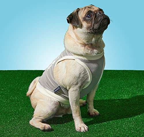 Brass Monkey People Pleaser Dog Tank; Pre-Shrunk Cotton Pet Muscle Tank; X-Small (14' Chest); Cute Dog Accessories with Eye-Catching Design