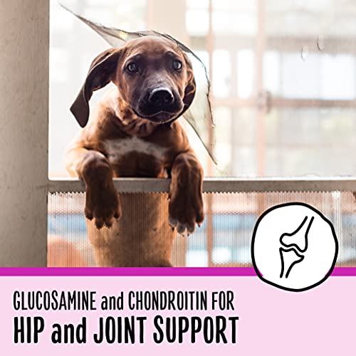 SmartyPants Dog Vitamins and Supplements, Multivitamin with Glucosamine, Chondroitin, and Probiotics for Joint, Skin, and Gut Support, Peanut Butter Flavor, 60 Soft Chews by SmartyPaws