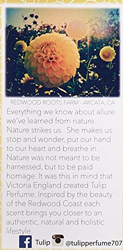 Tulip Perfume Classic Roll On Eau De Parfum, Lemon Sugar, 0.6 Ounce (Model: RO LS)