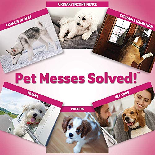 OUT! Pet Care Disposable Female Dog Diapers | Absorbent with Leak Proof Fit | Medium/Large, 14 Count