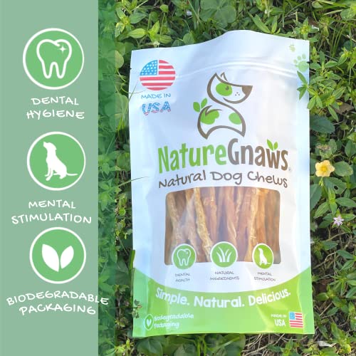 Nature Gnaws USA Turkey Tendons for Dogs - Premium Natural Chew Treats for Dogs - Delicious Reward Snack for Small Medium and Large Dogs - Made in The USA 4 oz Bag