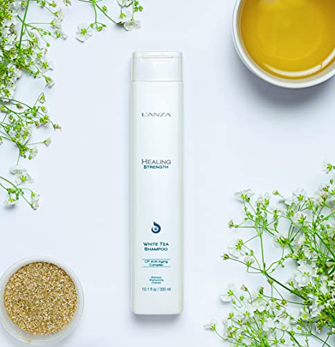 L'ANZA Healing Strength White Tea Shampoo, Strengthens, Protects and Restores Weak, Fragile, and Aged Hair, Rich with Keratin Protein, Healing Oils and Vitamin C (10.1 Fl Oz)