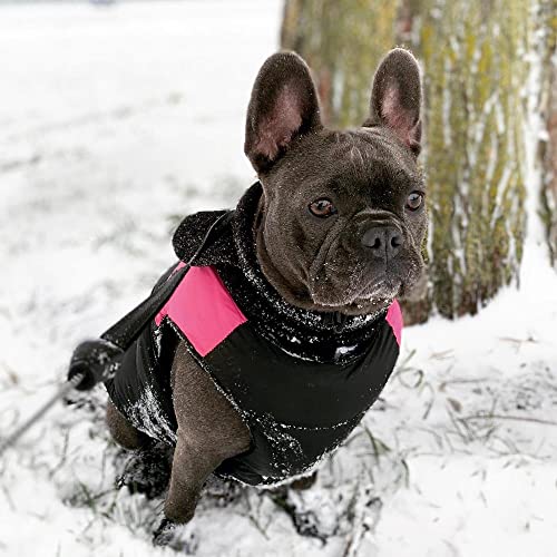 Gooby Padded Vest Dog Jacket - Pink, Small - Warm Zip Up Dog Vest Fleece Jacket with Dual D Ring Leash - Winter Water Resistant Small Dog Sweater - Dog Clothes for Small Dogs Boy and Medium Dogs