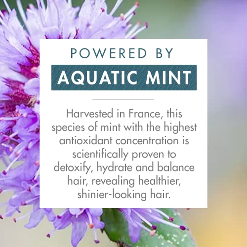 Klorane Detox Dry Shampoo with Aquatic Mint, All Hair Types, Invisible Finish, Cooling, Paraben and Sulfate-Free, 3.2 oz.