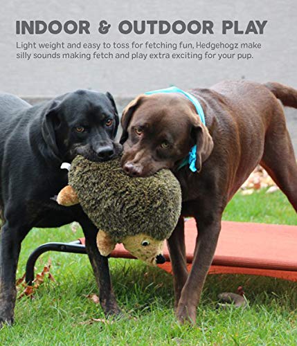 Outward Hound Hedgehogz Plush Dog Toy, XL