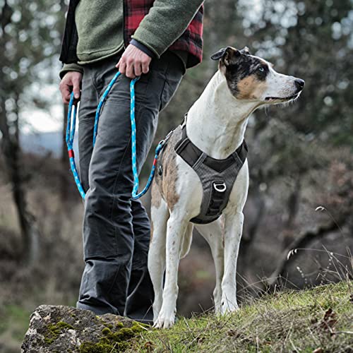 Kurgo Dog Harness for Large, Medium and Small Active Dogs, Pet Hiking Harness for Running and Walking, Everyday Harnesses for Pets, Reflective, Journey Adventure and Air, Black/Grey
