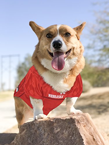 NCAA College Nebraska Huskers Mesh Jersey for DOGS and CATS, X-Small. Licensed Big Dog Jersey with your Favorite Football/Basketball College Team