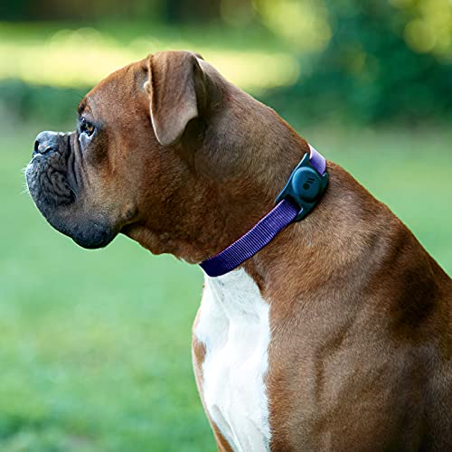 Case-Mate Airtag Dog Collar Holder - Water Resistant Airtag Holder Dog Tag - Lightweight, Protective Airtag Case for Dog Collar - Pet Collar Airtag Loop - Compatible w/Cat/Dog Collars - Lime Green