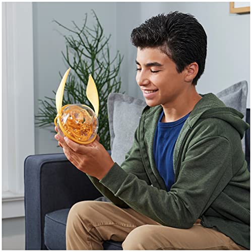 Spin Master Games Perplexus, Harry Potter Go 3D Gravity Maze Game Brain Teaser Fidget Sensory Toy Puzzle Ball, for Adults and Kids Ages 8 and up