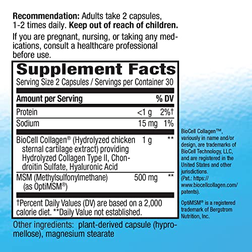 Nature’s Way Hydraplenish, with Patented BioCell Collagen, OptiMSM, Supports Skin Collagen Production*, Promotes Skin Elasticity*, 60 Capsules