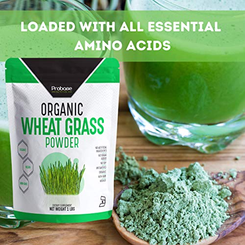 PROBASE NUTRITION Organic Wheatgrass Powder - 1 Pound - Rich in Immune Vitamins, Fibers, Fatty Acids and Minerals - Supports Immune System and Digestion Function - Vegan - Non-GMO