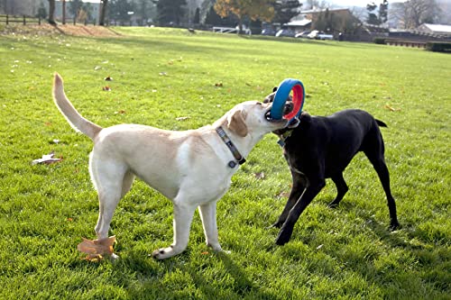 Chuckit! Rugged Fetch Wheel Dog Toy
