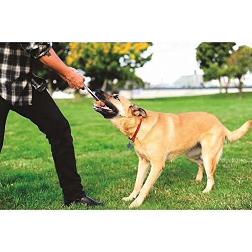 ChuckIt! Small Ultra Tug