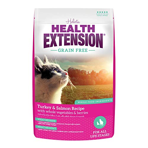 Health Extension Dry Cat Food, Natural Food with Added Vitamins and Minerals, Suitable for All Kittens and Adult Cats, Turkey and Salmon Recipe with Whole Vegetable and Berries (15 Pound / 6.8 kg)