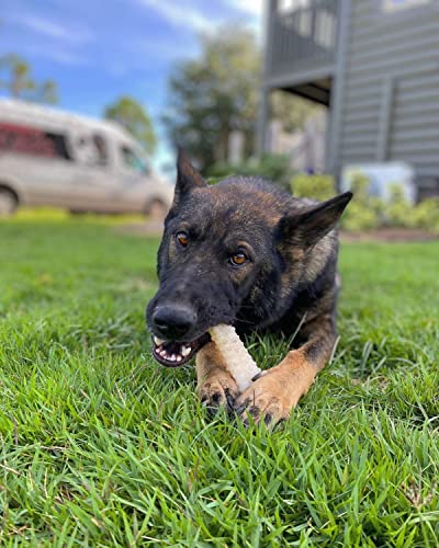 Nylabone Power Chew Durable Dog Toy Original X-Large/Souper (1 Count)