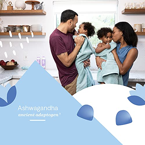 Hello Bello Organic Ashwagandha Gummies With B12 And B6 - Stress And Mood Support Vitamins Vegan, Plant-Based, Non-GMO Gummy Vitamins I 60 Count