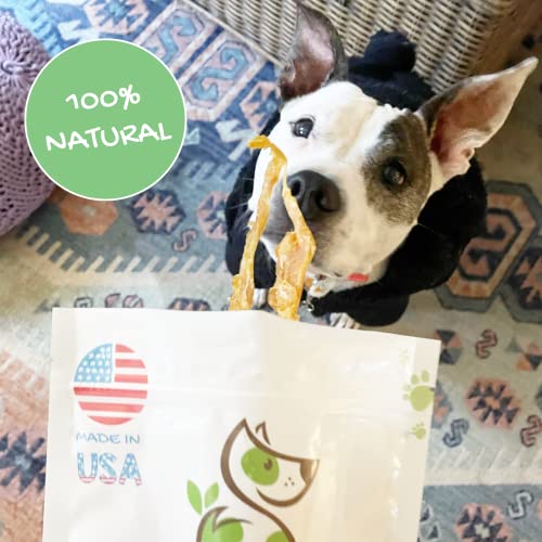 Nature Gnaws USA Turkey Tendons for Dogs - Premium Natural Chew Treats for Dogs - Delicious Reward Snack for Small Medium and Large Dogs - Made in The USA 4 oz Bag