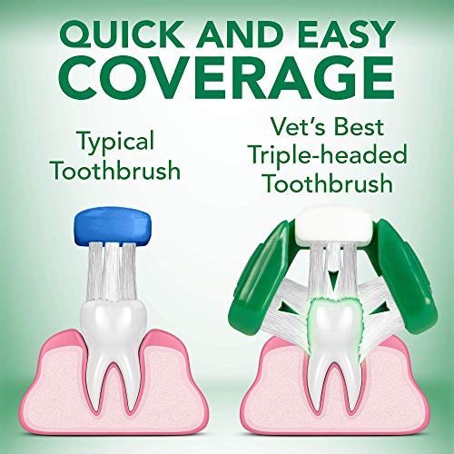 Vet’s Best Dog Toothbrush and Enzymatic Toothpaste Set - Teeth Cleaning and Fresh Breath Kit with Dental Care Guide - Vet Formulated