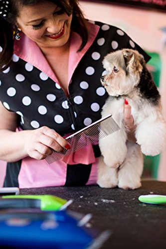 Andis Pet 10-Inch Steel Comb (65725), Silver