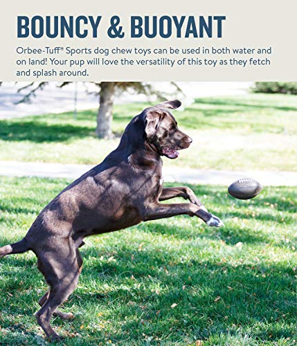 Planet Dog Orbee-Tuff Football Treat-Dispensing Dog Chew Toy