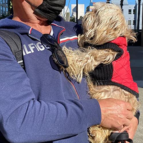 Gooby Fashion Vest Dog Jacket - Red, X-Large - Warm Zip Up Dog Bomber Vest with Dual D Ring Leash - Winter Water Resistant Small Dog Sweater - Dog Clothes for Small Dogs Boy or Medium Dogs