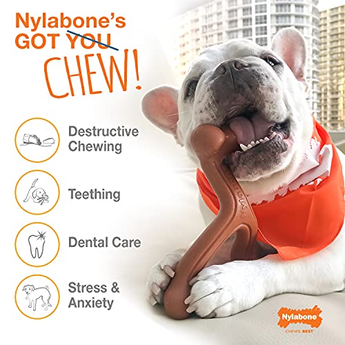 Nylabone Flavor Frenzy Power Chew Triple Pack Chicken, Corn and Ice Cream Sundae Small/Regular (3 Count)