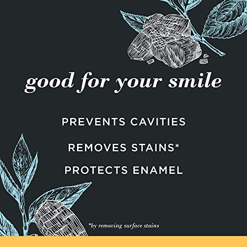 Burt’s Bees Toothpaste, Natural Flavor, Charcoal with Fluoride Toothpaste, Mountain Mint, 3 x 4.7oz