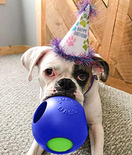 Jolly Pets Teaser Ball Dog Toy, Medium/6 Inches, Blue, 6-Inch Teaser Ball, Blue