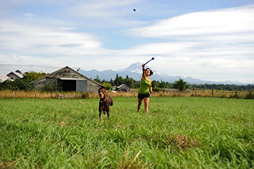 Petmate Chuckit Pro Fetch Toy Ball Launcher For Dogs; Compatible With Any Chuckit! Ball Of The Same Size, Medium 18 Inch