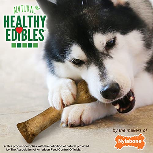 Nylabone Healthy Edibles All-Natural Long Lasting Chicken Flavor Dog Chew Treats 1 Count Chicken X-Large/Souper