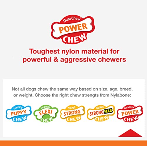 Nylabone Femur Bone Rawhide Alternative Power Chew Durable Dog Toy Femur Rawhide Large/Giant (1 Count)