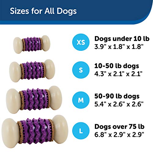 PetSafe Busy Buddy Nobbly Nubbly Treat Holding Dog Toy – Strong Chewers – Challenging - Treat Rings Included - Medium