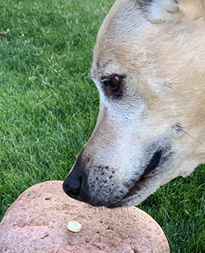 Essential Pet Products Brewers Yeast Chewable Tablets with Garlic, B Vitamins and Minerals for Dogs,White