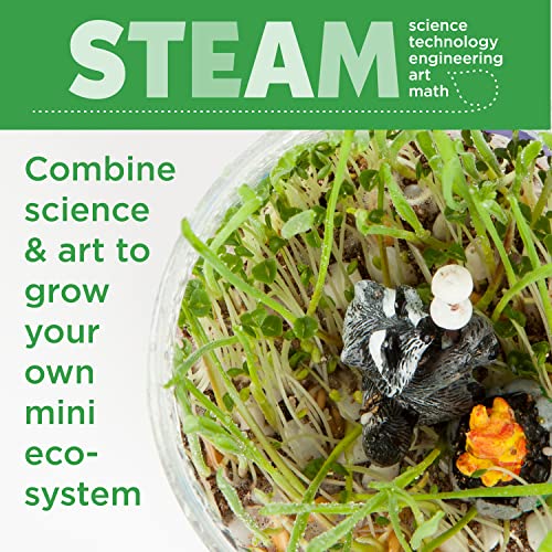 Creativity for Kids Grow 'N Glow Terrarium Kit for Kids - Science Activities for Ages 5-8+, Craft Kits and Creative Gifts for Kids