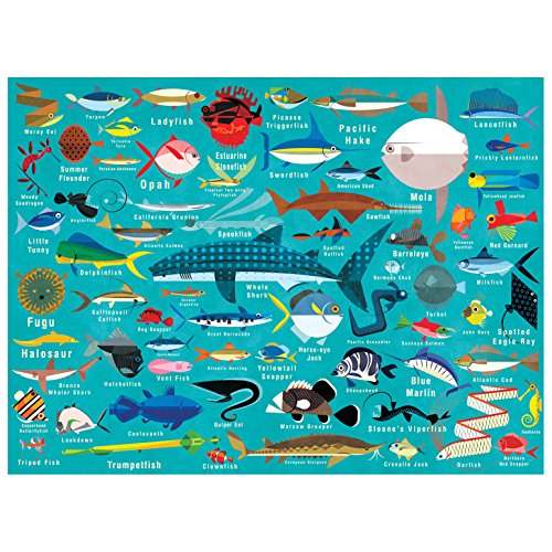 Mudpuppy Ocean Life 1000 Piece Jigsaw Puzzle for Adults and Families, Family Puzzle with Colorful Illustrations of Fish, Sharks and Ocean Life , Blue