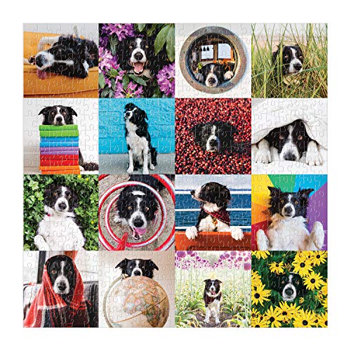 Galison Momo The Dog Puzzle, 500 Pieces, 20” x 20'' – Colorful Puzzle Featuring 16 Adorable Dog Images - Thick, Sturdy Pieces - Perfect for Family Fun, Multicolor