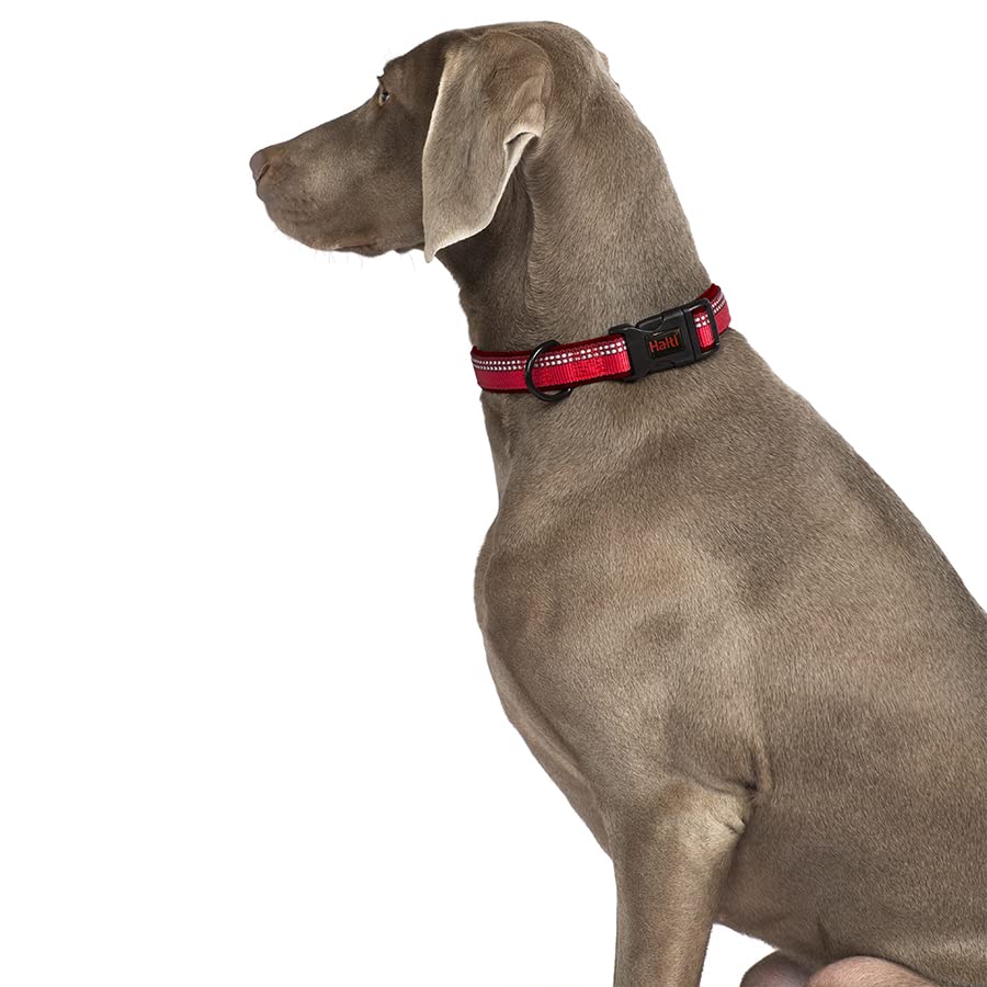 The Company of Animals - Halti Collar (10' - 14'), Small, Purple