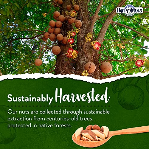 Happy Andes Real Organic Brazil Nuts 1.75 lbs -Non-GMO, Raw Whole nuts,Vacuum Sealed, Resealable bag, Low Carb, Keto Friendly, Vegan Snack, Unsalted, Natural Snack