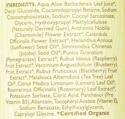 Little Twig Baby Wash, Natural Plant Derived Formula, Berry Pomegranate, 8.5 fl oz