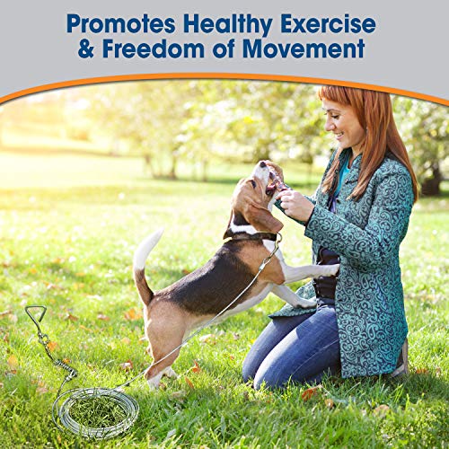 Four Paws Heavy Weight Dog Tie Out Cable Silver 20 Feet