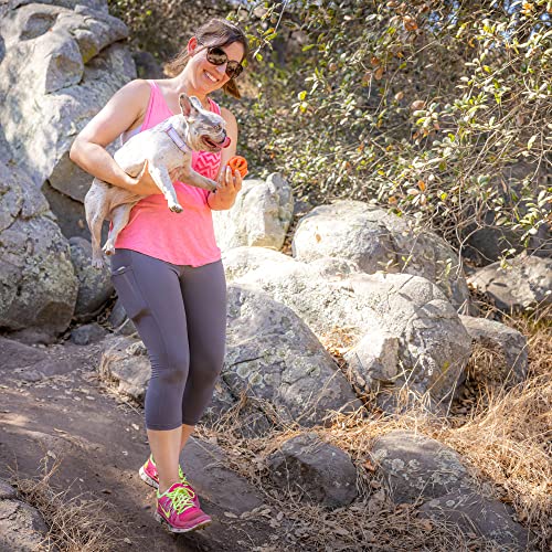 Chuckit! Air Fetch Ball Dog Toy, Small, Pack of 2