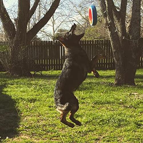 Chuckit! Fetch Wheel, Large Outdoor Dog Toy