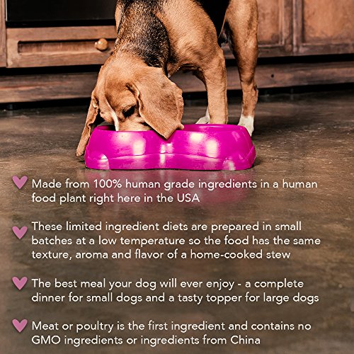 Caru Real Beef Stew for Dogs, Natural Adult Wet Dog Food with Added Vitamins and Minerals, Free From Grain, Wheat and Gluten (Pack of 12)