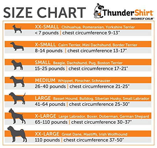 ThunderShirt for Dogs, Small, Pink Polo - Dog Anxiety Vest