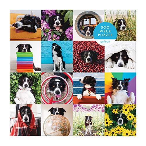 Galison Momo The Dog Puzzle, 500 Pieces, 20” x 20'' – Colorful Puzzle Featuring 16 Adorable Dog Images - Thick, Sturdy Pieces - Perfect for Family Fun, Multicolor